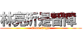 林亮沂是智障  (Good Night)