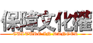 保障文化權 (CULTURE IN DANGER)