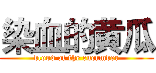 染血的黄瓜 (blood of the cucumber)