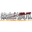 染血的黄瓜 (blood of the cucumber)