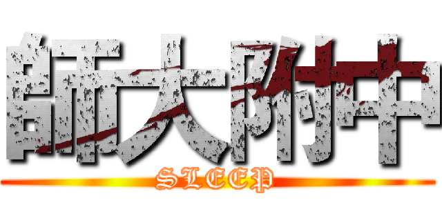 師大附中 (SLEEP)
