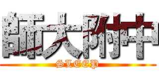 師大附中 (SLEEP)