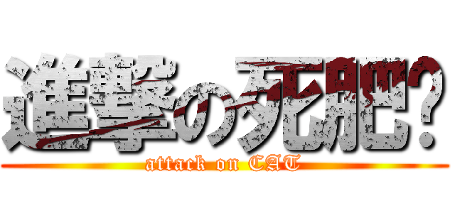 進撃の死肥貓 (attack on CAT)