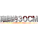 雍傑的３０ＣＭ (Attack TO CC)