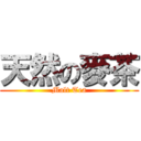 天然の麥茶 (Malt Tea)