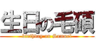 生日の毛碩 (birthday on Samuel)