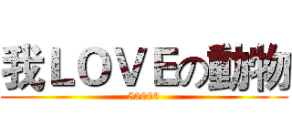 我ＬＯＶＥの動物 (52003)