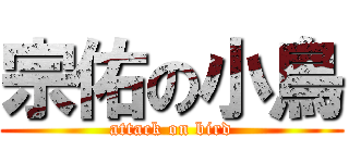 宗佑の小鳥 (attack on bird)