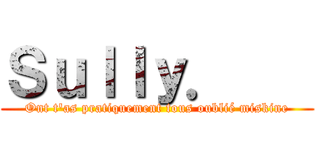 Ｓｕｌｌｙ．    (Ont t'as pratiquement tous oublié miskine)