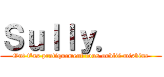 Ｓｕｌｌｙ．    (Ont t'as pratiquement tous oublié miskine)