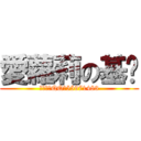 愛蘿莉の基佬 (欢迎加入QQ群55971483)