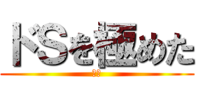 ドＳを極めた (聖士)