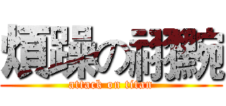 煩躁の祤黦 (attack on titan)