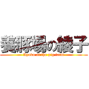 養豚場の綾子 (Ayako at the pig farm)