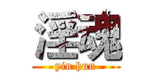 淫魂 (yin hun)
