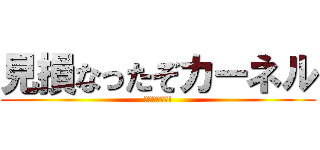 見損なったぞカーネル (兄さんやめて!)