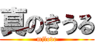 真のきうる (mjlove)