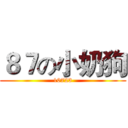 ８７の小奶狗 (10723)