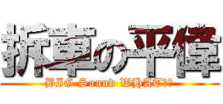 拆車の平偉 (BIG Sound WHAT??)