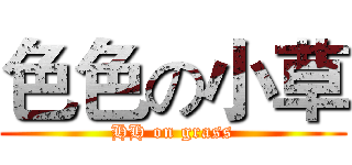色色の小草 (HH on grass)