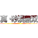 真・砂漠無双 (猛将伝)