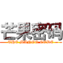 芒果密码 (THE MANGO CODE)