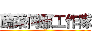 蔬菜伺服工作隊 (團長)