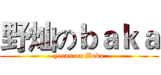 野灿のｂａｋａ (yecan on Baka)