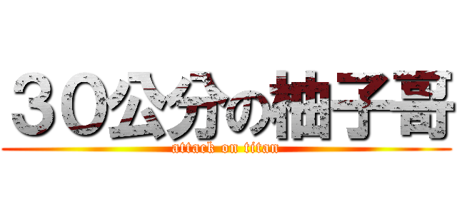３０公分の柚子哥 (attack on titan)