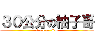 ３０公分の柚子哥 (attack on titan)