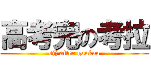 高考完の考拉 (sjj after gaokao)