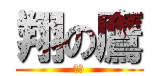 翔の鷹 (眼界)