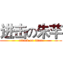 进击の朱芊 (attack on titan)