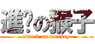 進擊の猴子 (attack on monkey)