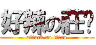 好辣の莊汧 (attack on titan)