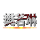 樊若琳 (        )