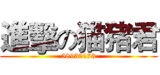 進擊の猫猪君 (58930173)