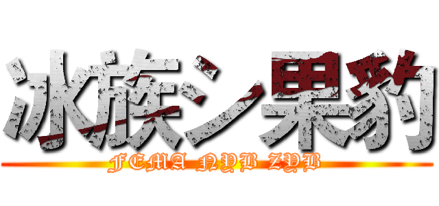 冰族シ果豹 (FEMA NYB ZYB)