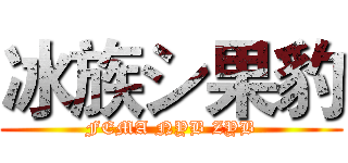 冰族シ果豹 (FEMA NYB ZYB)