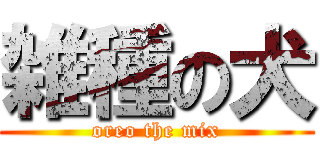 雑種の犬 (oreo the mix)