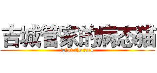 吉城管家的病态猫 (what the fuck)