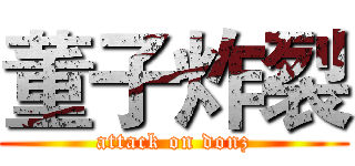 董子炸裂 (attack on donz)