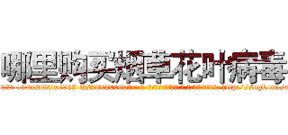 哪里购买烟草花叶病毒 (哪里购买烟草花叶病毒【电-186x2687x6963-Q278180069元-吉-药-业】我们做的是长期生意,靠的是老客户长期支持 http://sngk.net/uu2xlb
)