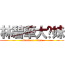 林碧華大奶妹 (attack on titan)