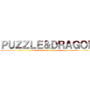ＰＵＺＺＬＥ＆ＤＲＡＧＯＮ (attack on indian)