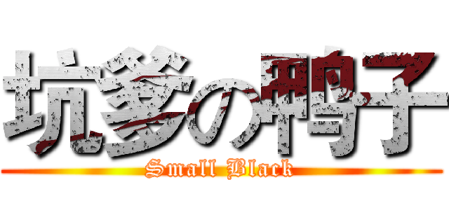 坑爹の鸭子 (Small Black)