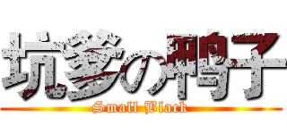 坑爹の鸭子 (Small Black)