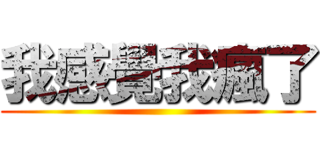 我感覺我瘋了 ()