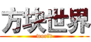 方块世界 (world)