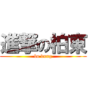 進撃の柏東 (bo dung)